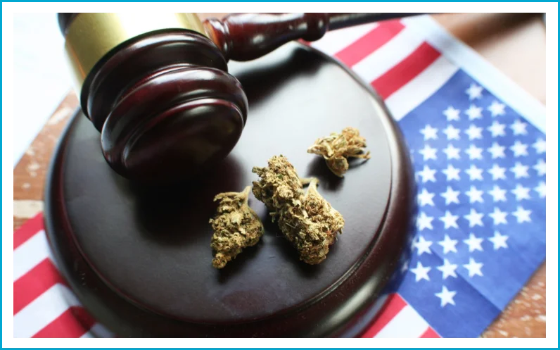 Marijuana pictured with a gavel and an American flag