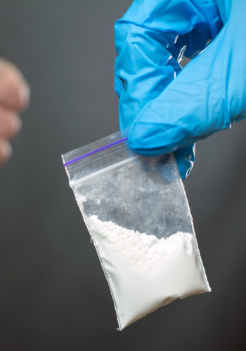 Drug Manufacturing